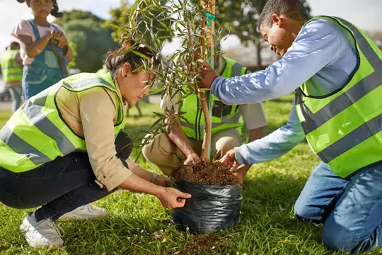 Plantation Services