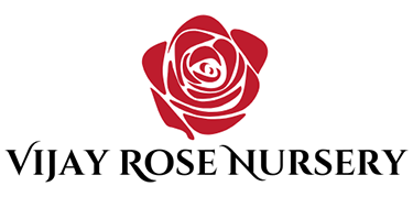 Vijay Rose Nursery